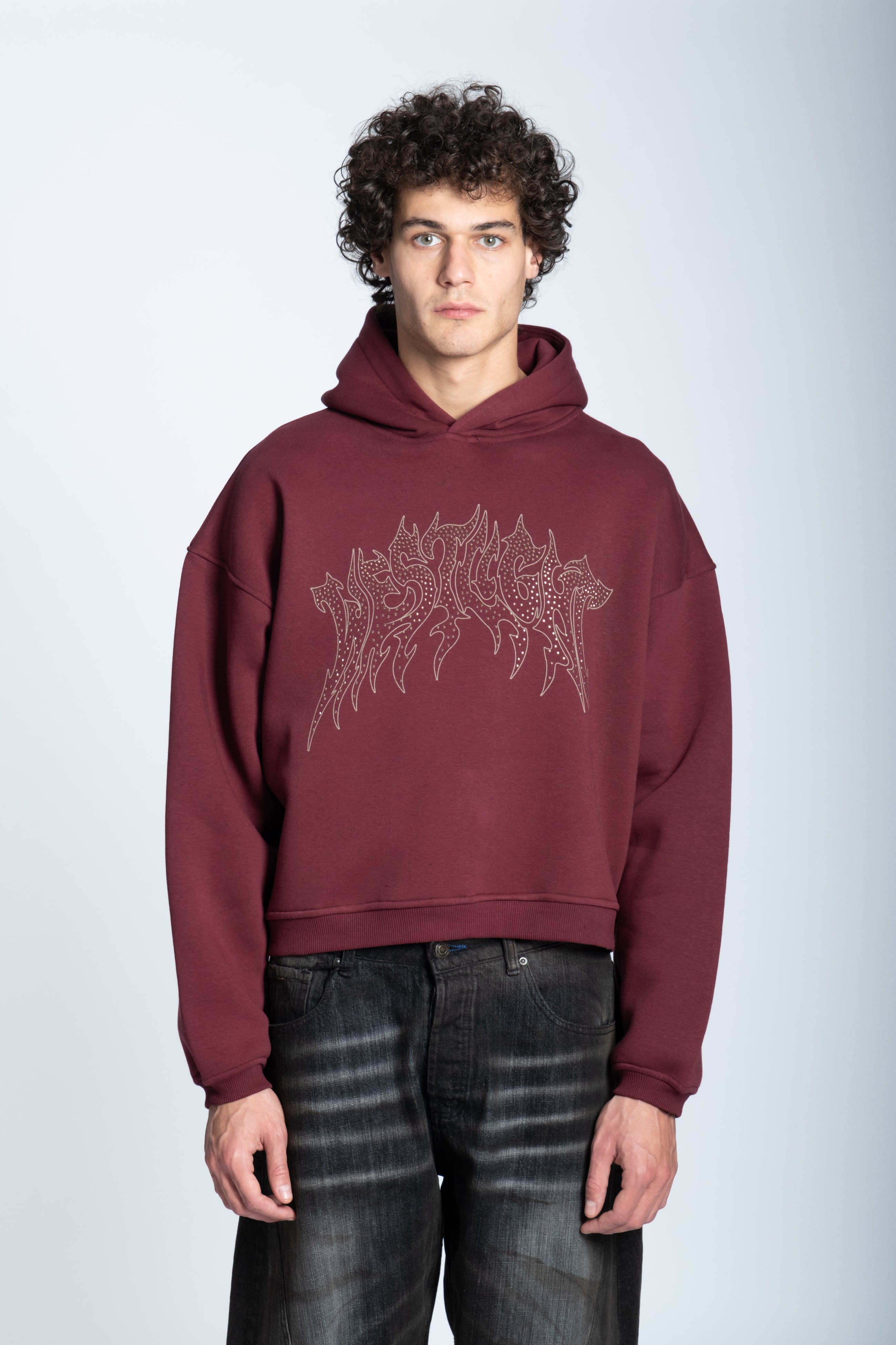 CROPPED STRASS GRAPHIC HOODIE BORDEAUX