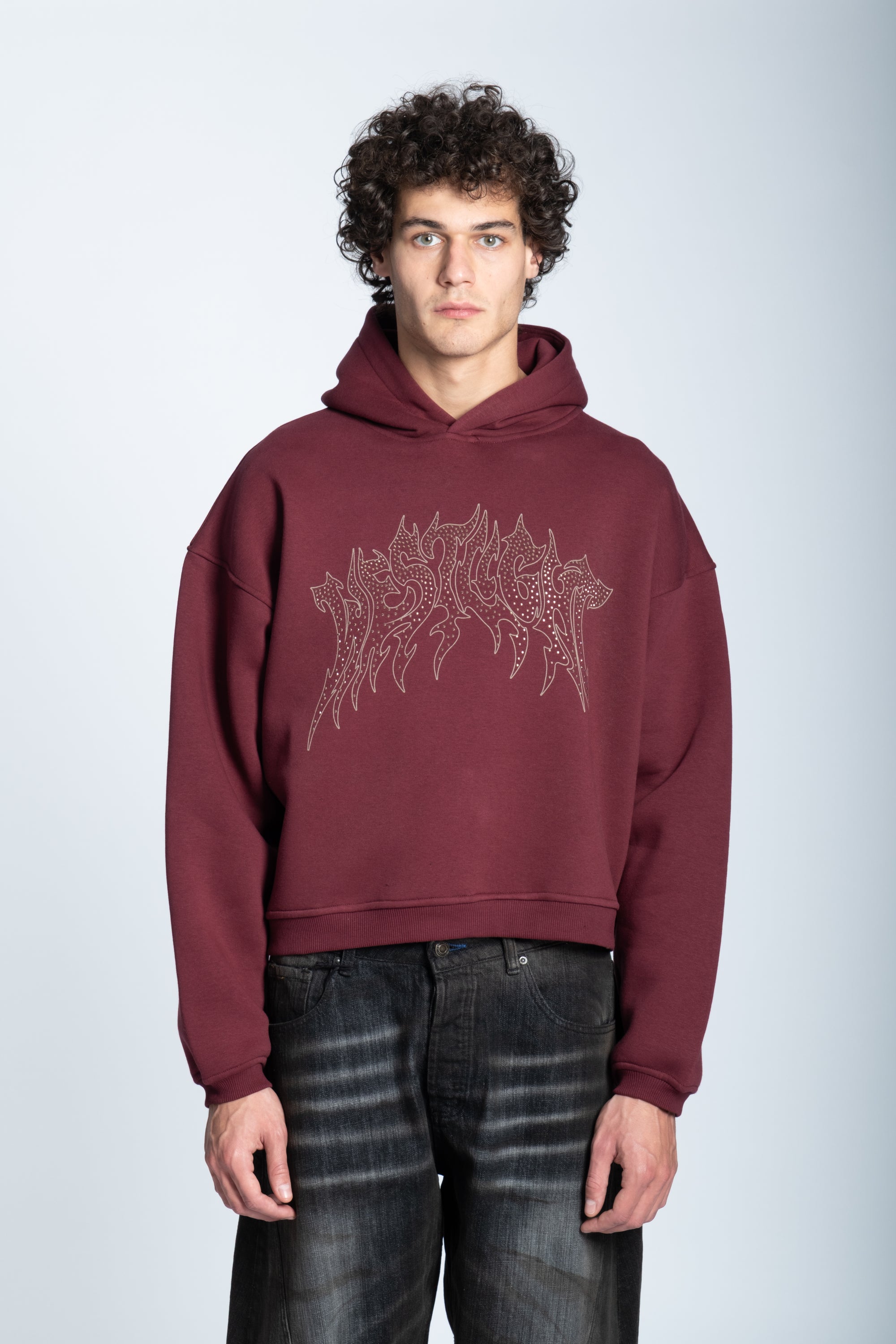CROPPED STRASS GRAPHIC HOODIE BORDEAUX