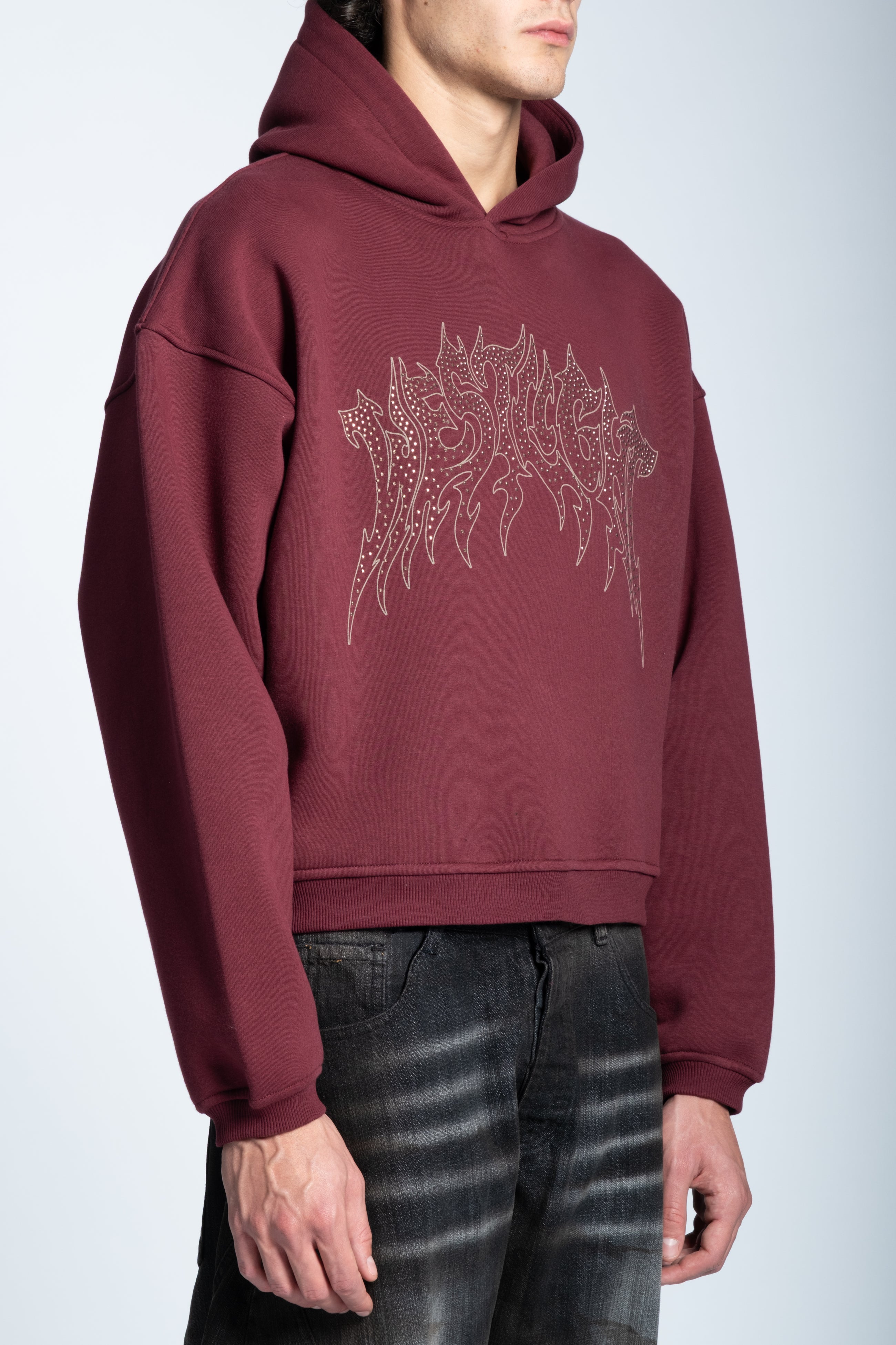 CROPPED STRASS GRAPHIC HOODIE BORDEAUX